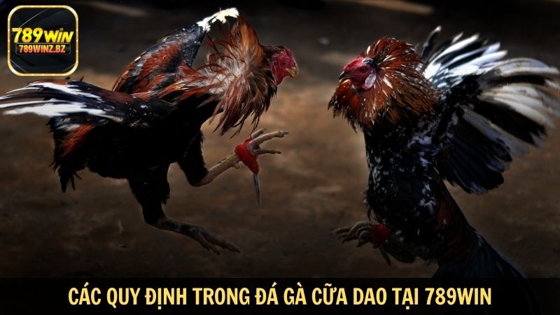 Các quy định trong đá gà cữa dao tại 789WIN