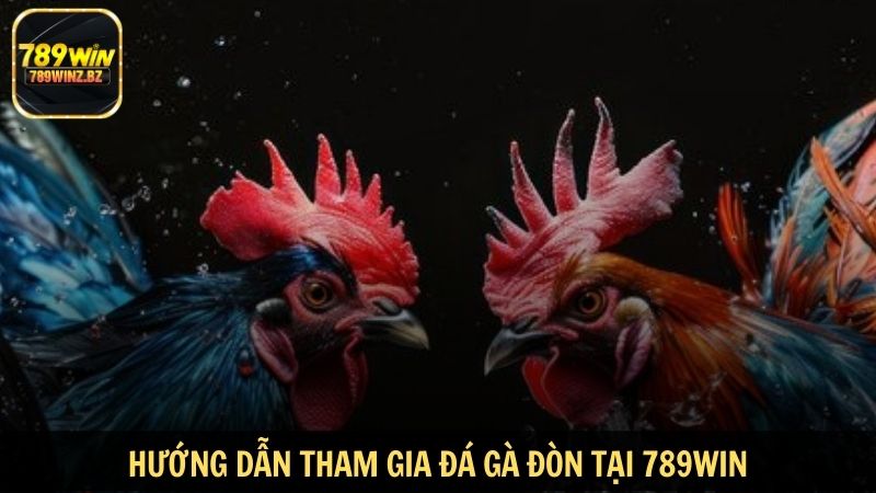 Hướng dẫn tham gia đá gà đòn tại 789WIN